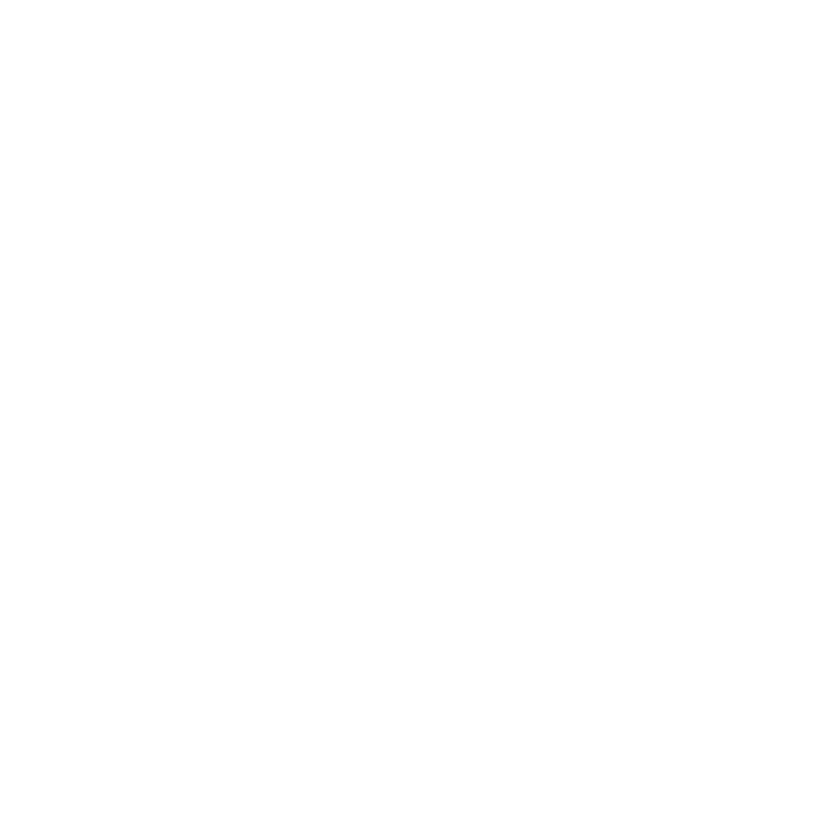 ZF logo STD White 3C