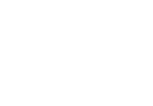 DALUS CAPITAL